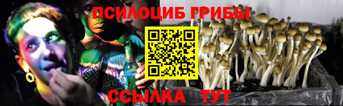 Галлюциногенные грибы мицелий  Вход с VPN  Галлюциногенные грибы мухоморы  хочу   Кимры 